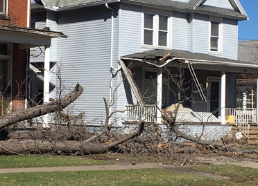 High winds take down power lines, trees - Observer Today